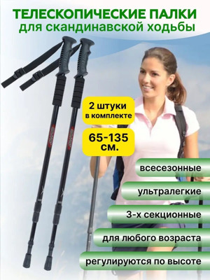 Телескопические палки для скандинавской ходьбы Onlitop 65-135см (чёрный)