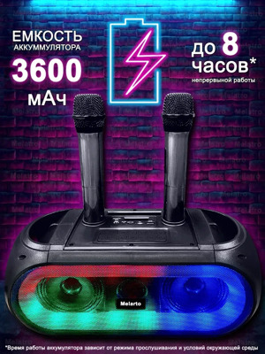Портативная Bluetooth колонка караоке ZQS 4247 с двумя беспроводными микрофонами FM USB TF Type-C