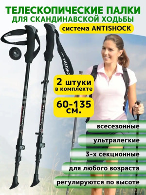 Телескопические палки для скандинавской ходьбы Onlitop (чёрный)